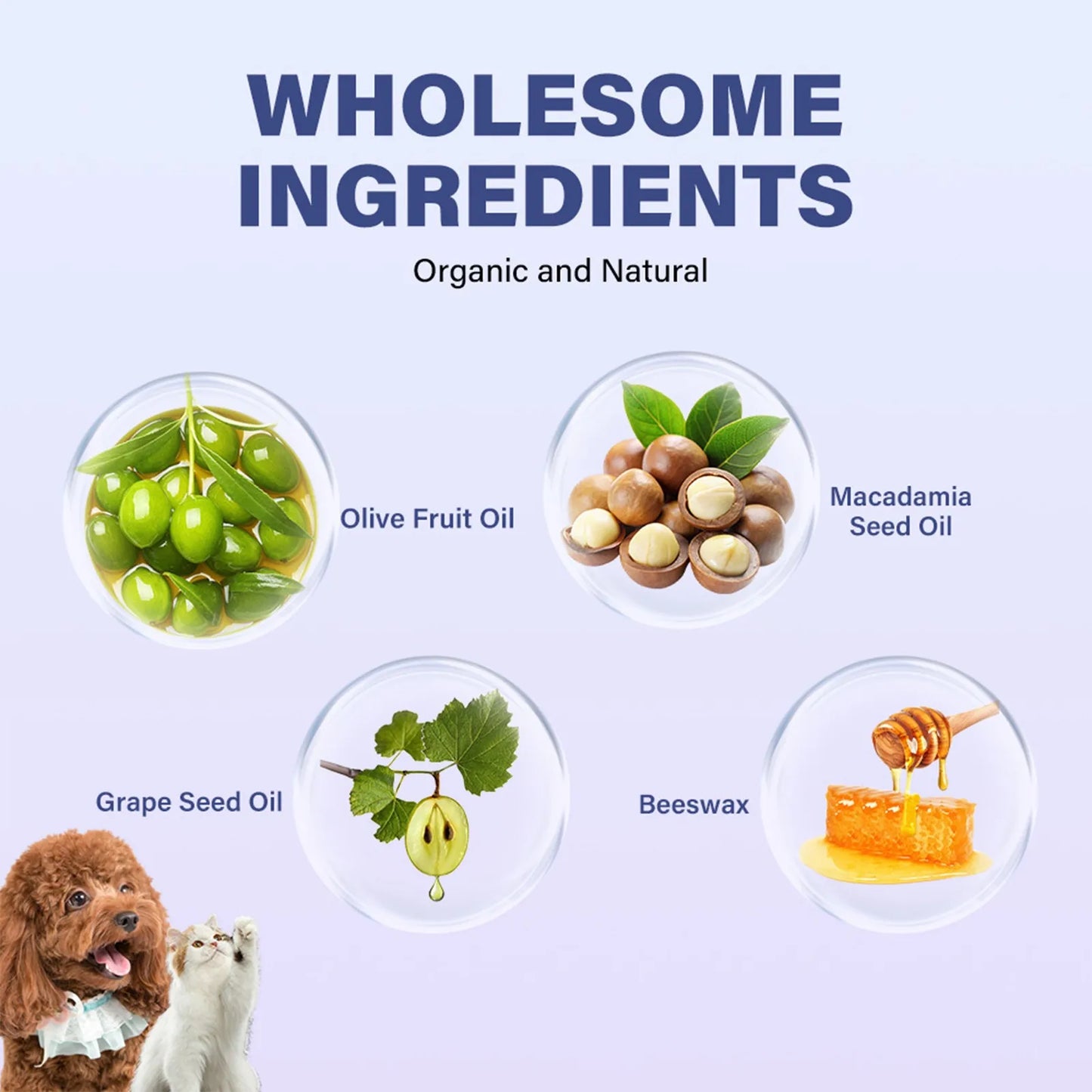 Coconut Paw Moisturizer