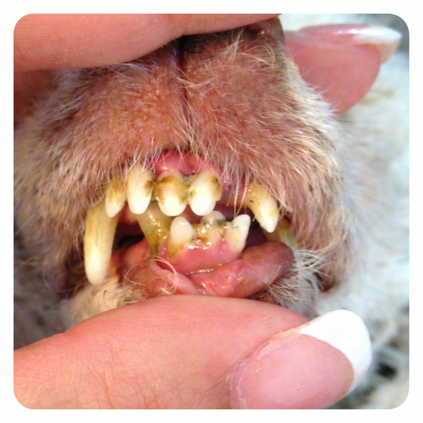 Before