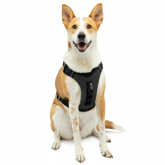 Secure-Fit Harness